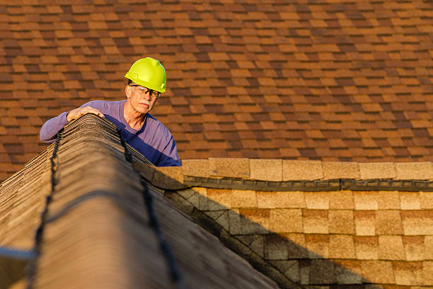 Roof Gutter Cleaning in Hazelwood, MO